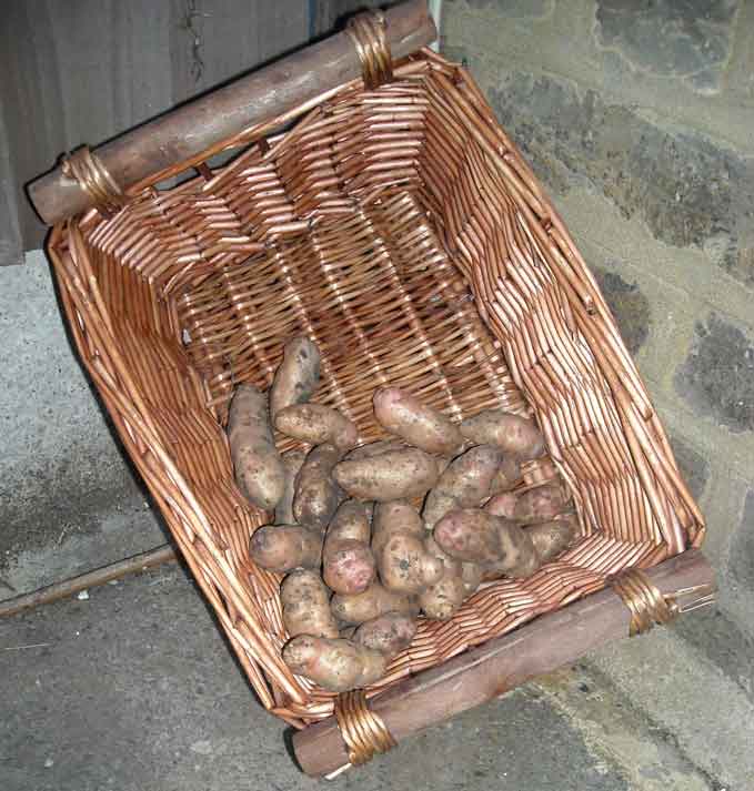 PotatoHarvest9Aug2010.jpg